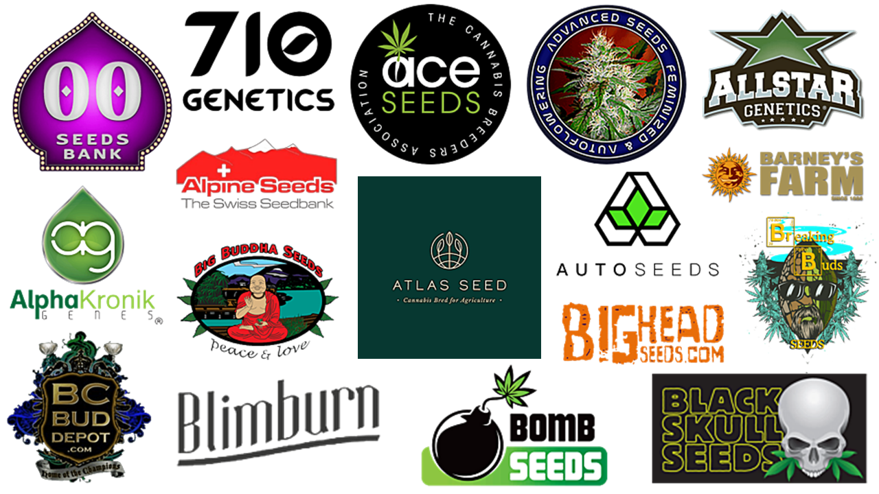 seed bank logos