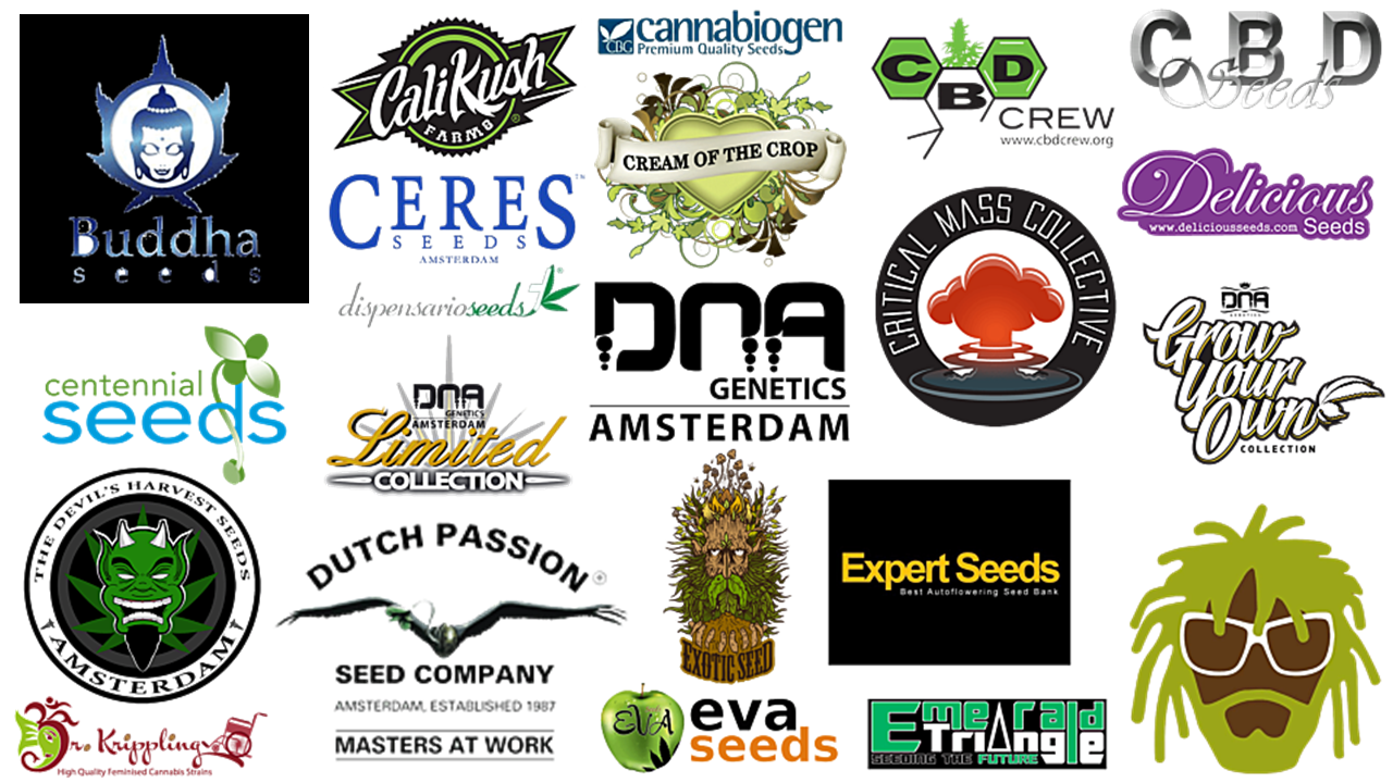 seed bank logos