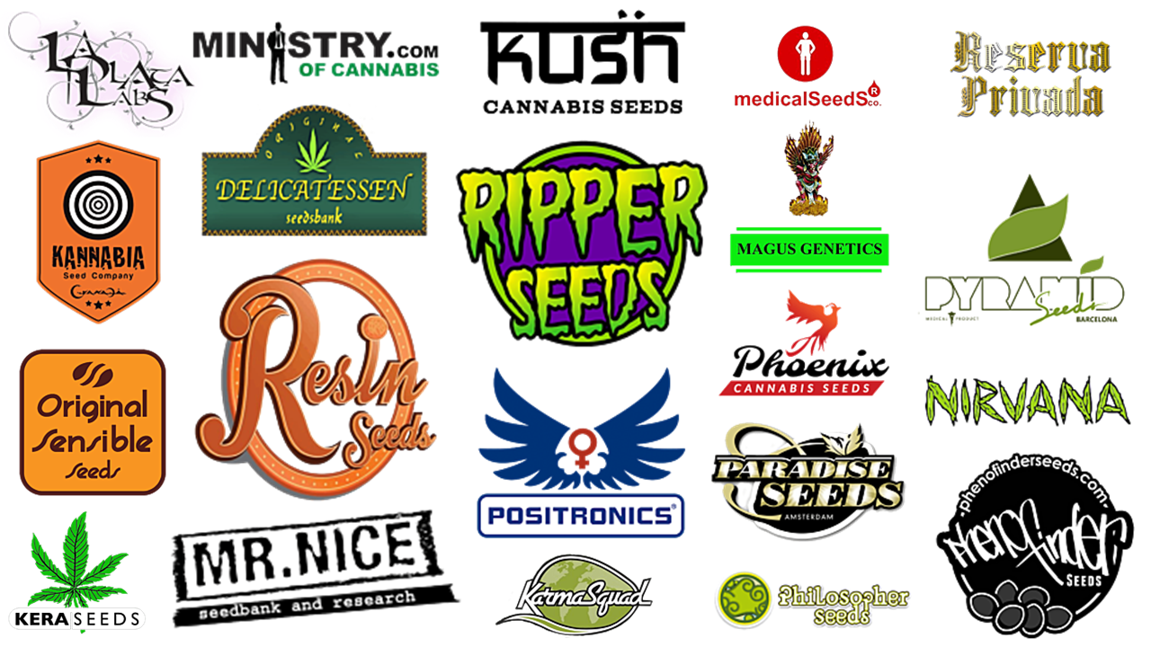 seed bank logos