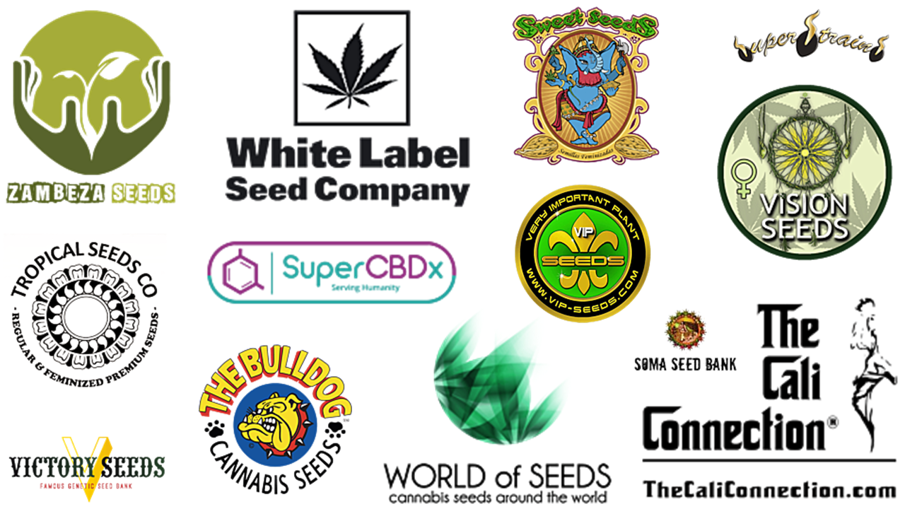 seed bank logos